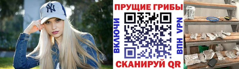 площадка состав  ОМГ ОМГ зеркало  Богородицк  Псилоцибиновые грибы MAGIC MUSHROOMS 